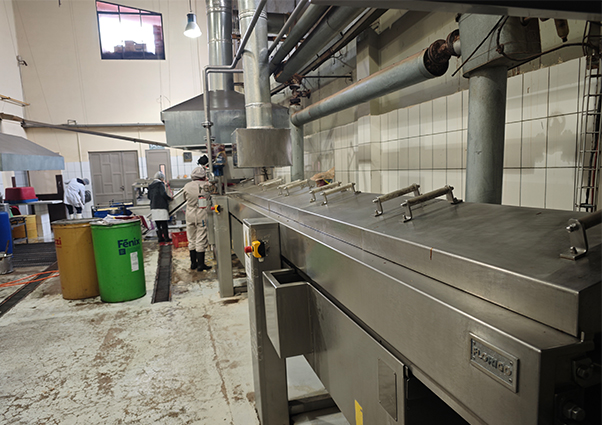 Automatic French Fry Production Equipment