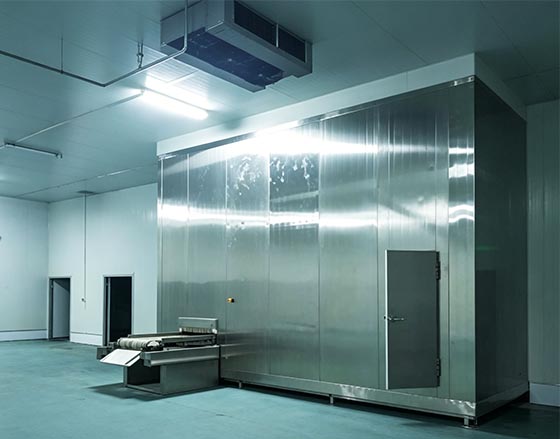 Individual Quick Freezing Tunnel / IQF