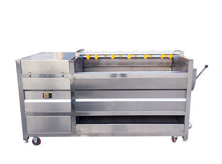 Potato Washing Peeling Machine