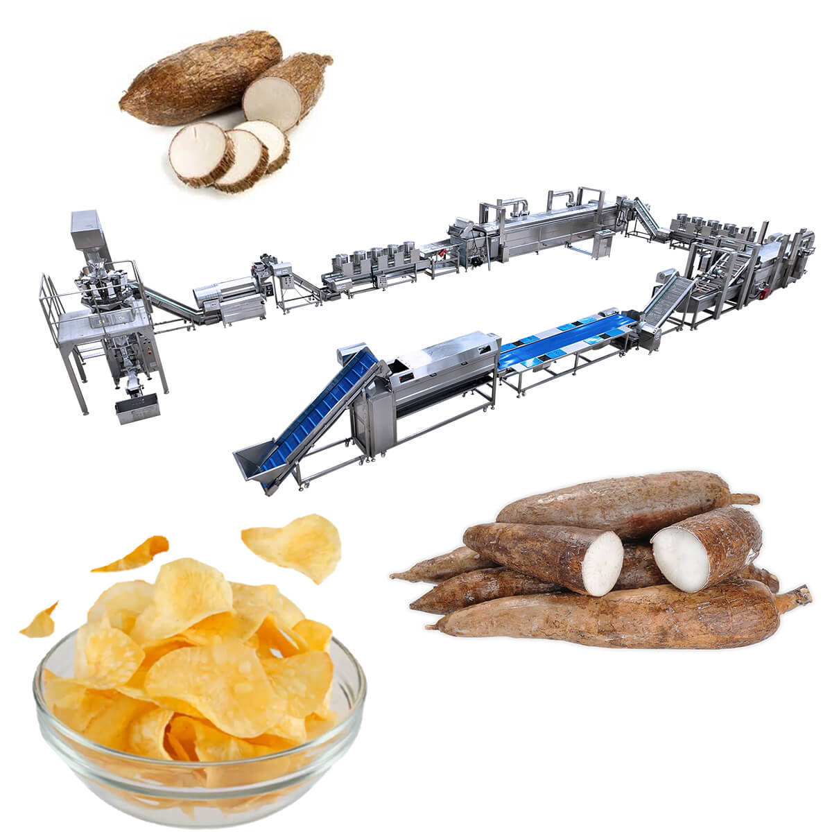 How to Process Cassava into Chips?