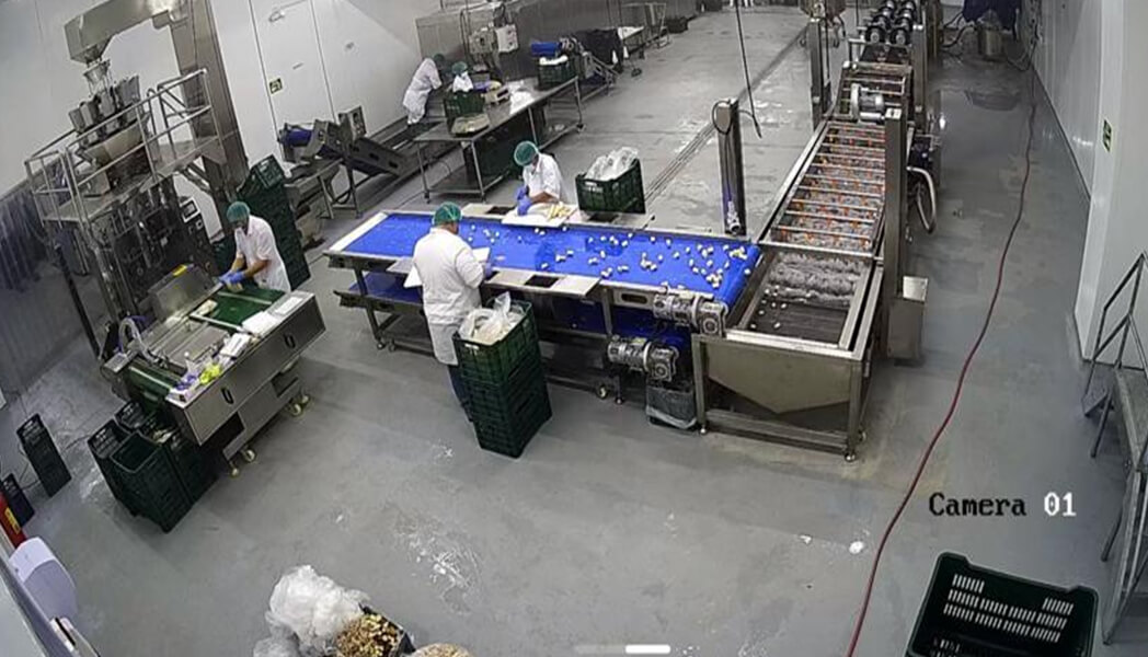 Potato Chip Manufacturing Equipment in Iran