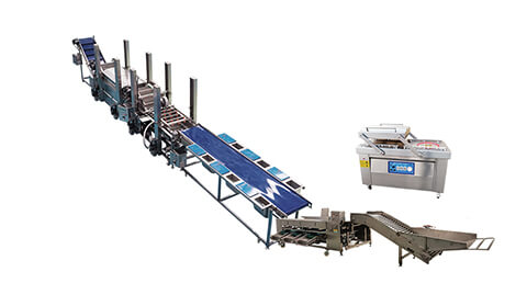 Vegetable Washing and Packing Line