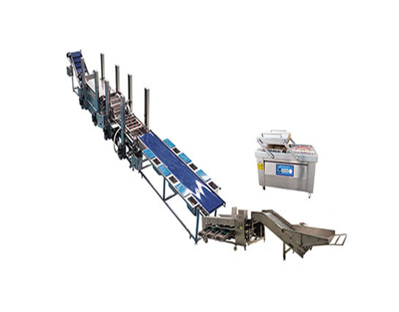 Vegetable Washing and Packing Line