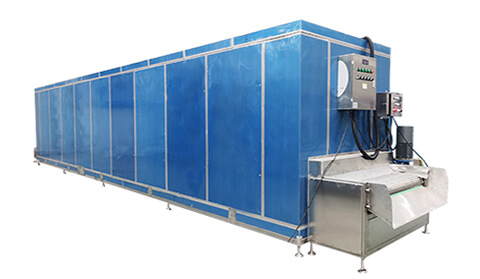 Individual Quick Freezing Tunnel / IQF