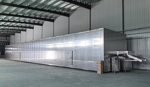 Frozen Vegetable Processing Line