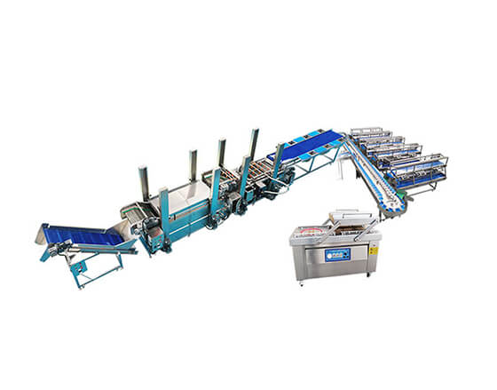 Vegetable Washing and Packing Line Equipment