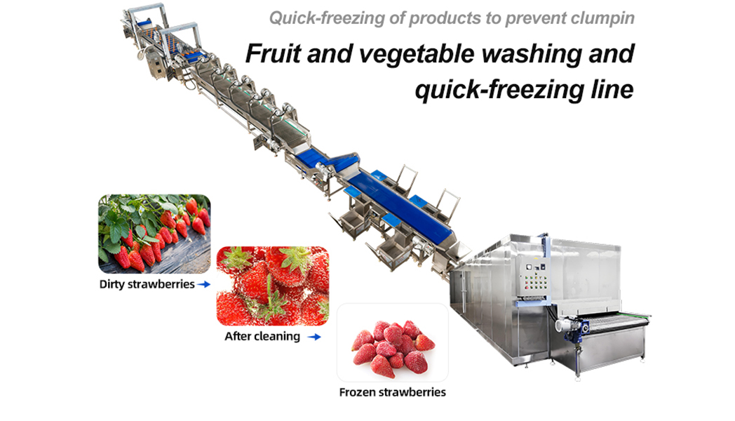 Algeria’s Fresh Fruit And Vegetable Freezing Processing Line Project Started Smoothly