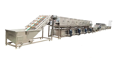 Vegetable Washing and Frozen Processing Line