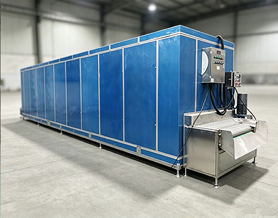 Individual Quick Freezing Tunnel / IQF