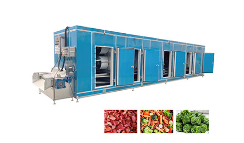 IQF Food Production Line