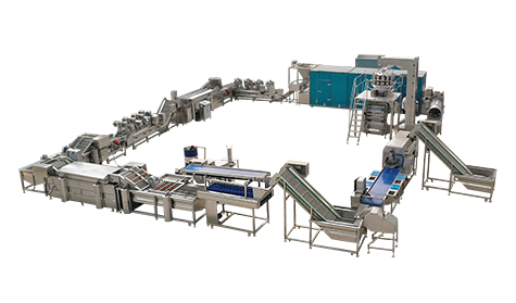 French Fries&Potato Chips Solutions