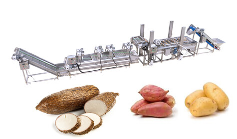 Potato Washing And Blanching line
