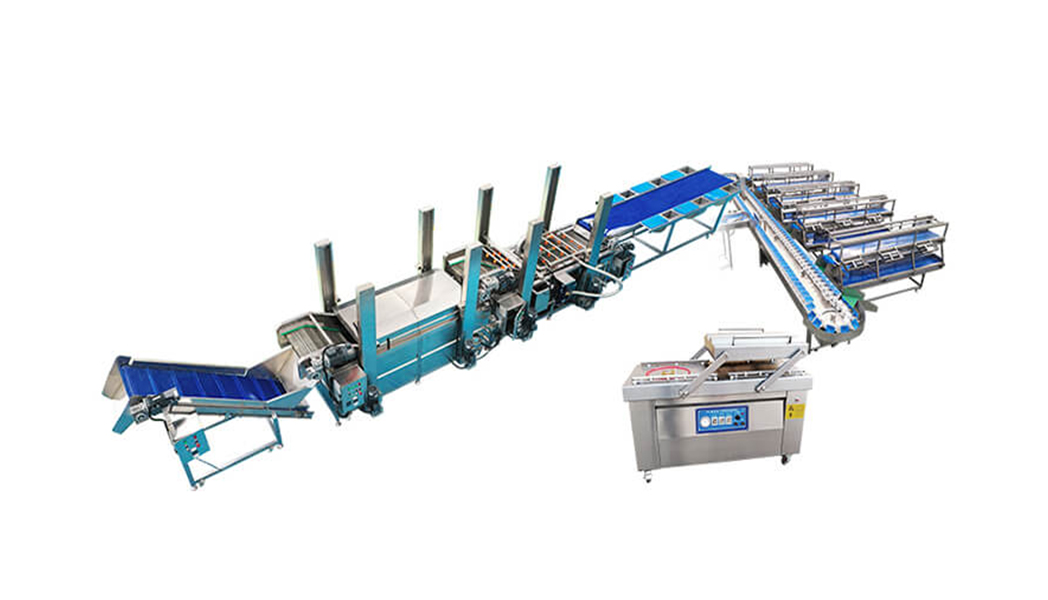Vegetable Washing and Packing Line Equipment