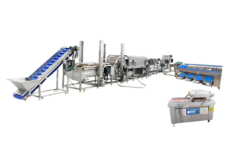 vegetable washing and packing machine
