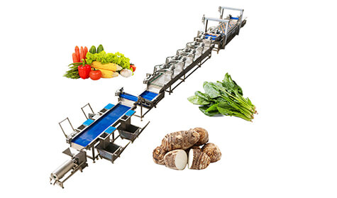 Fruit&Vegetable Washing Solutions