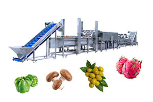 Fruit&Vegetable Washing Production Line