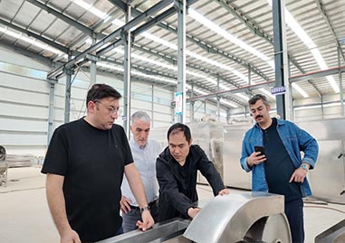 Turkey – Inquiry for an Automatic Potato Chip Production Line