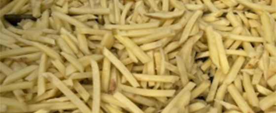 How We Delivered a Complete Fresh-Cut French Fry Line with Customized Solutions
