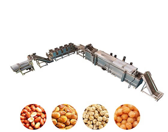 Automatic Frying Production Line