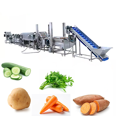 Vegetable Processing Client Visits to Inspect Cucumber Washing Line