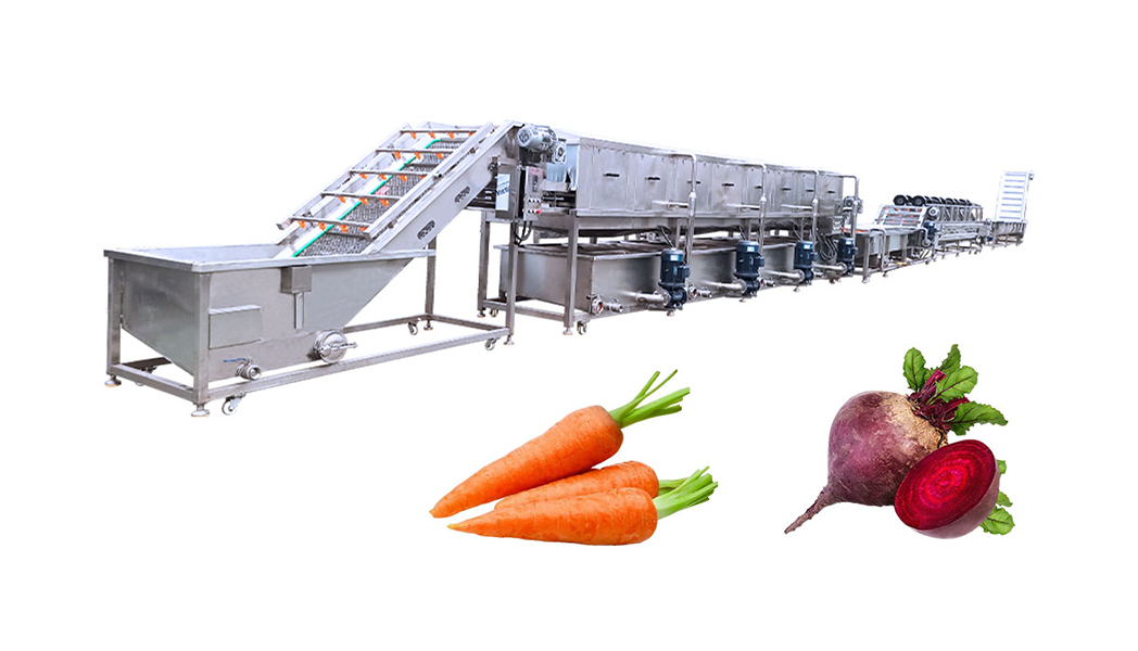 Vegetable Processing Client Visits to Inspect Cucumber Washing Line