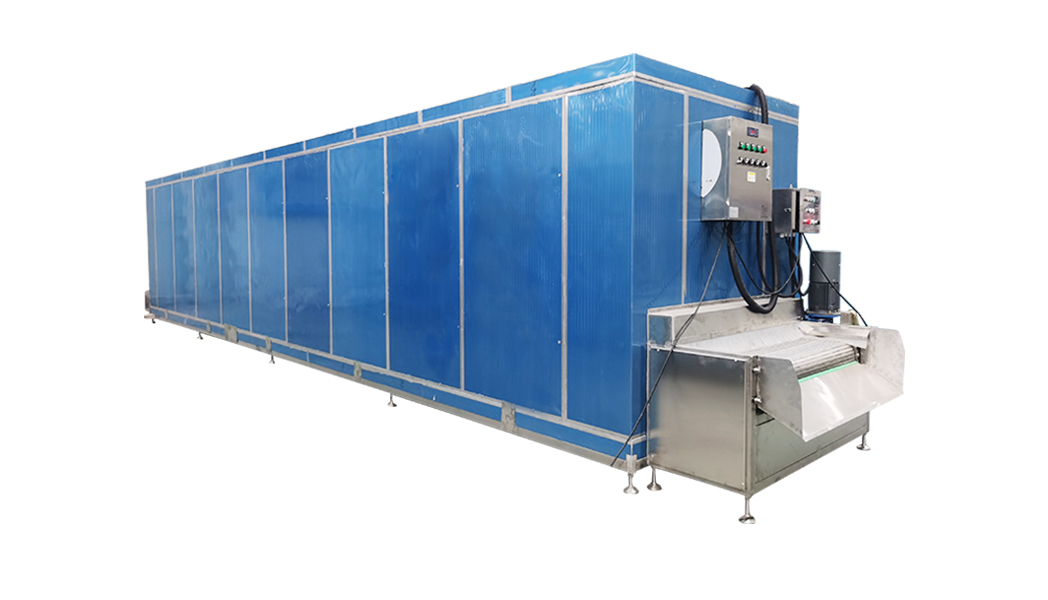 300kg/h Fully Automatic Frozen French Fries Production Line: Successful Case in Syria