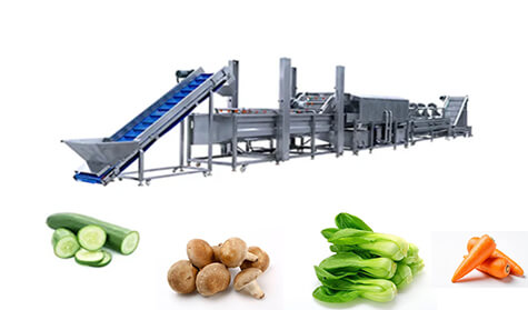 Vegetable Washing Production Line