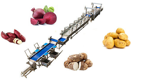Root Vegetable Processing Solutions