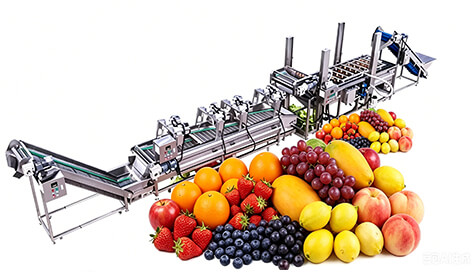 Fruit Processing Solutions