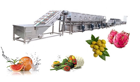 Fruit Washing Production Line