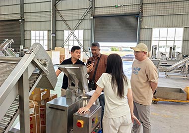 Successful Factory Inspection & On-Site Testing for Custom French Fries & Potato Chips Production Line