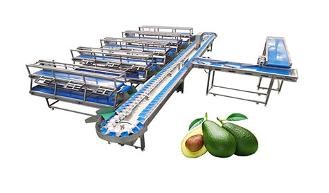 Others Processing Solutions
