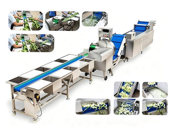 Industrial Vegetable Washing & Dehydration Lines