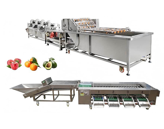 Complete Turnkey Fruit Washing & Grading Lines